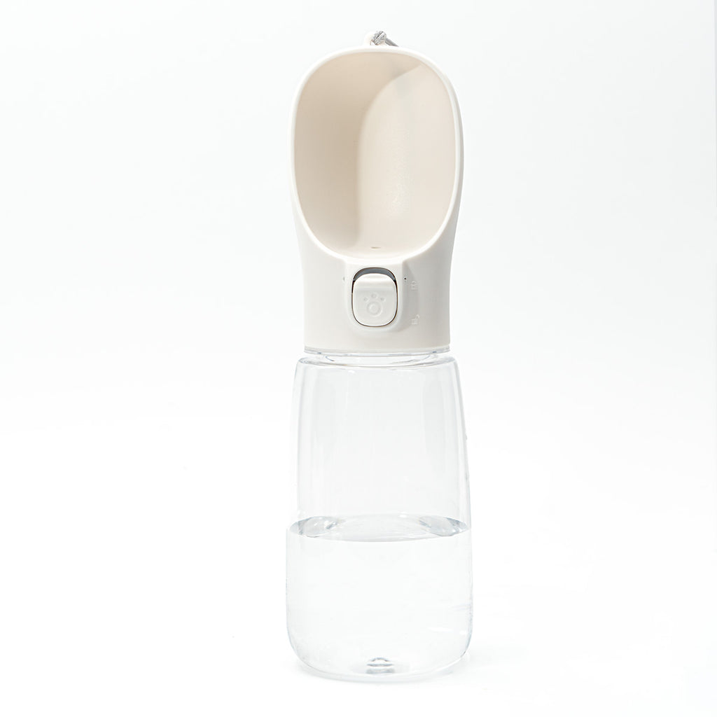 Pet outdoor water bottle