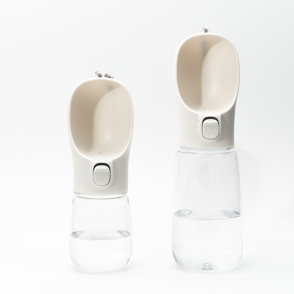 Pet outdoor water bottle