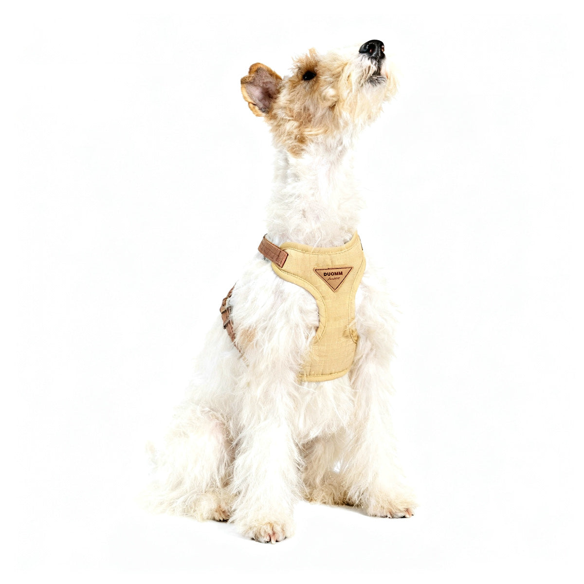 Pet chest harness