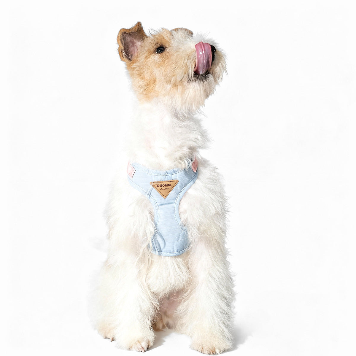 Pet chest harness