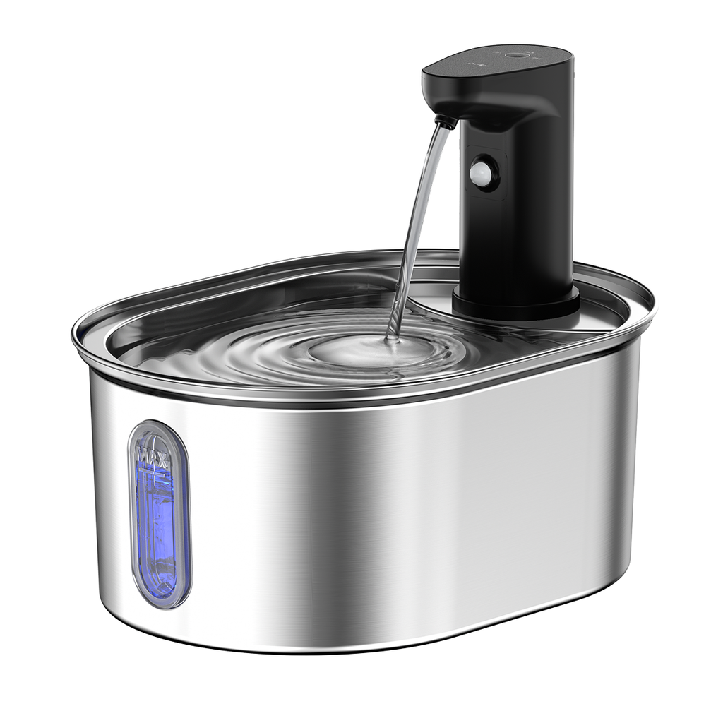 Pet Water Fountain - Lya's wedding