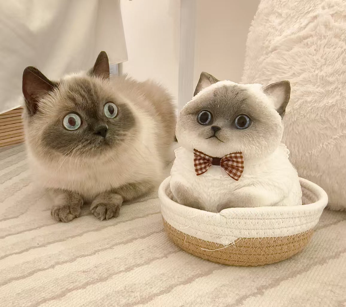 Custom Cat Silicone Figurine - Lya's wedding