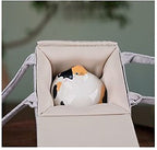Hand-Painted Custom Cat Memorial Urn – Personalized Pet Ashes Keepsake - Lya's wedding
