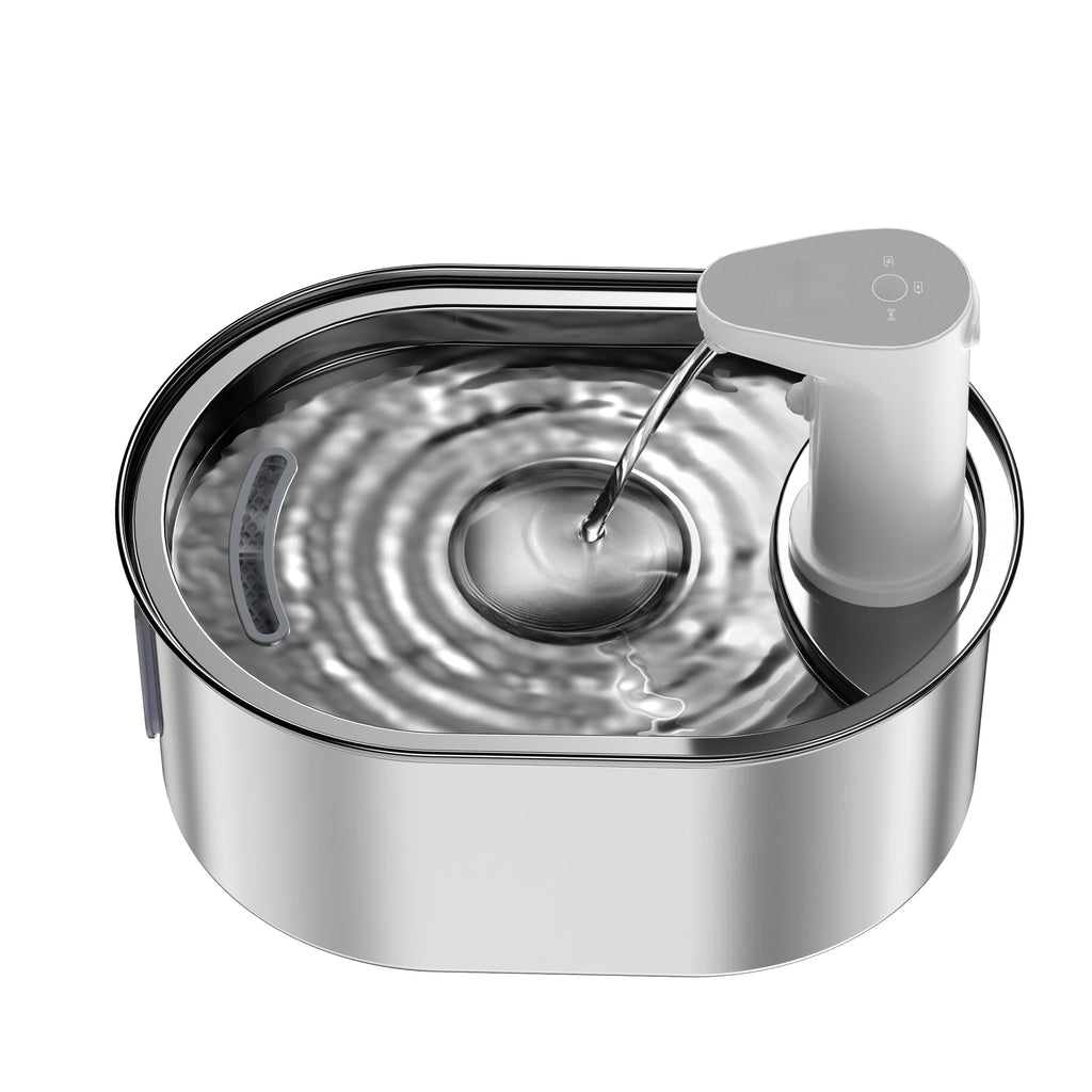 Pet Water Fountain - Lya's wedding