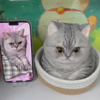 Custom Cat Silicone Figurine